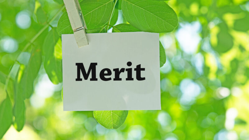 緑の木の葉に吊るされた『Merit』と書かれたカード